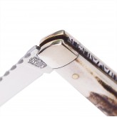 Lambfoot pattern stag pocket knife with worked backspring