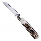 Lambfoot pattern stag pocket knife with worked backspring
