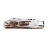 Lambfoot pattern stag pocket knife with worked backspring