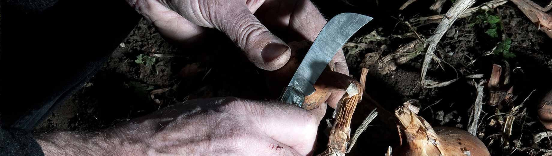 Pen & pocket knife header